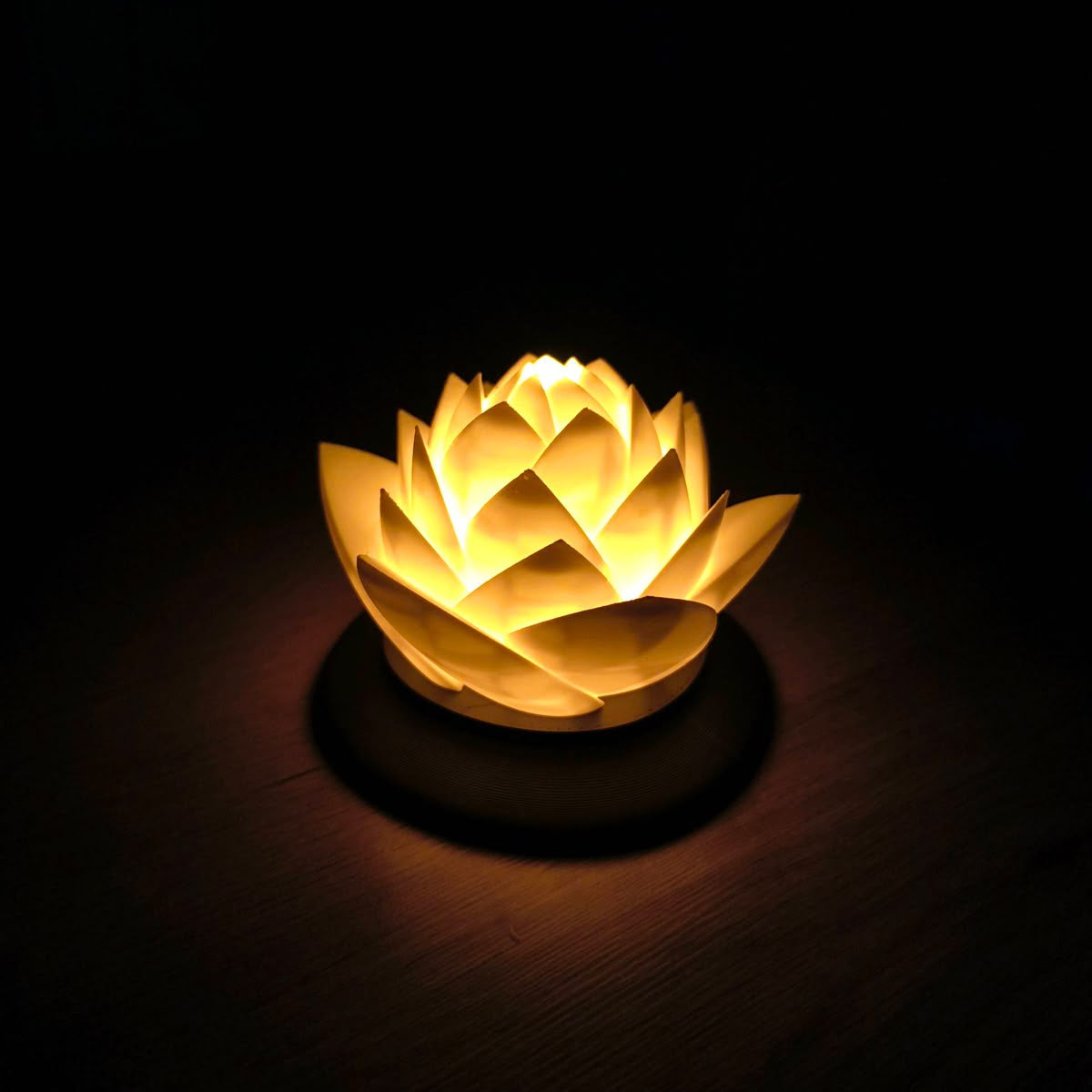 Dekoratif Lotus Çiçeği – Şık Ev Dekorasyonu